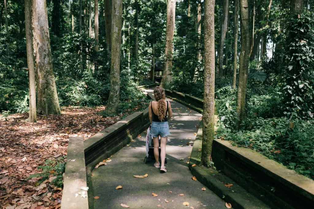Pushchair being pushed along an outdoor nature trail path
